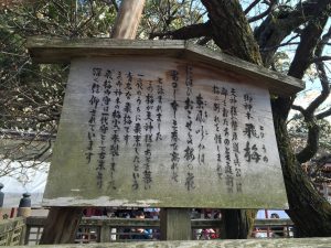 tobiume at dazaifu tenmangu