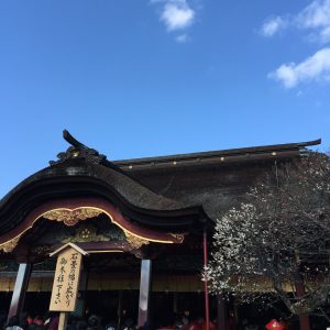 三分咲きの飛梅