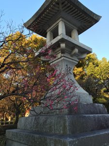灯明と紅梅